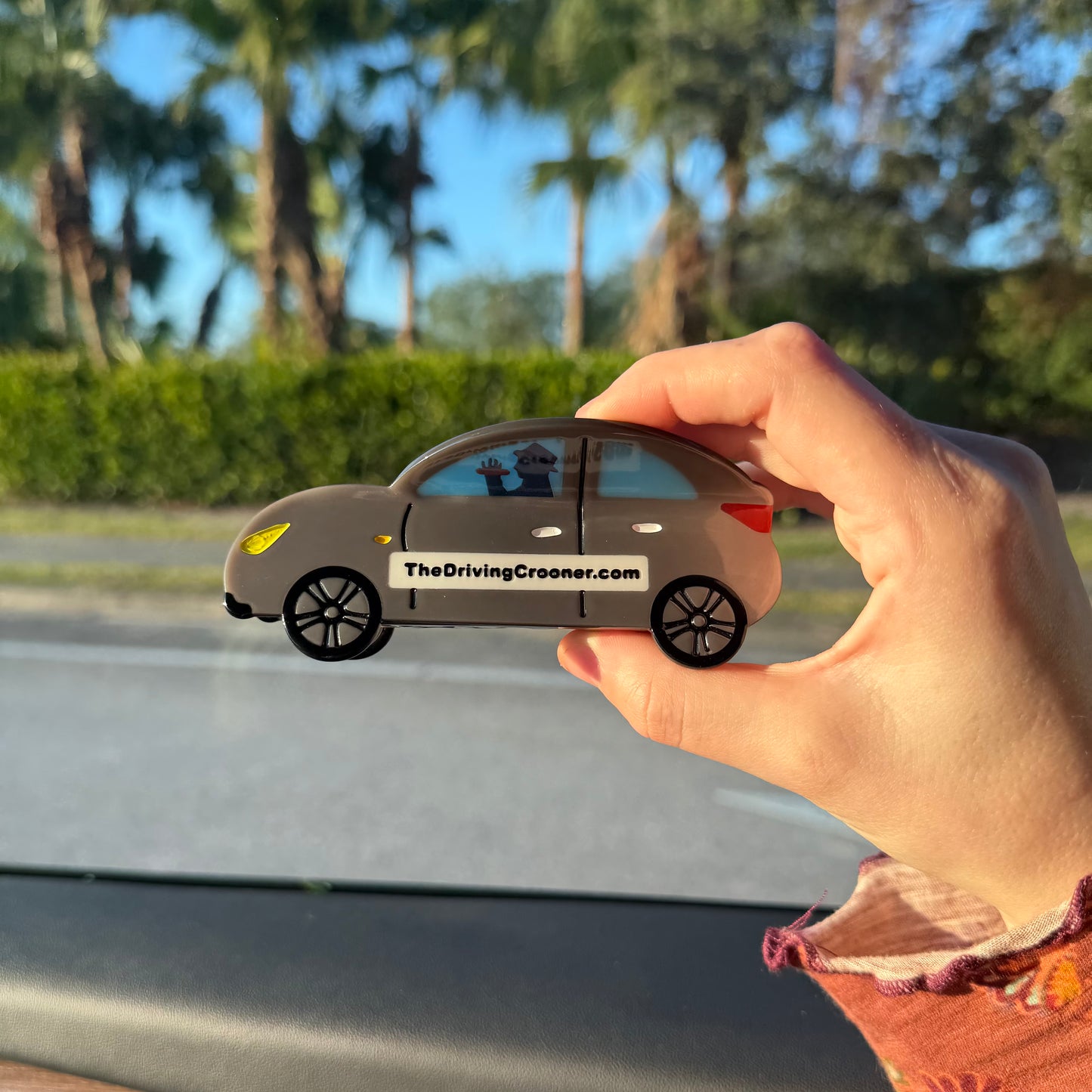 don’t cha love it Claw Clip PREORDER!