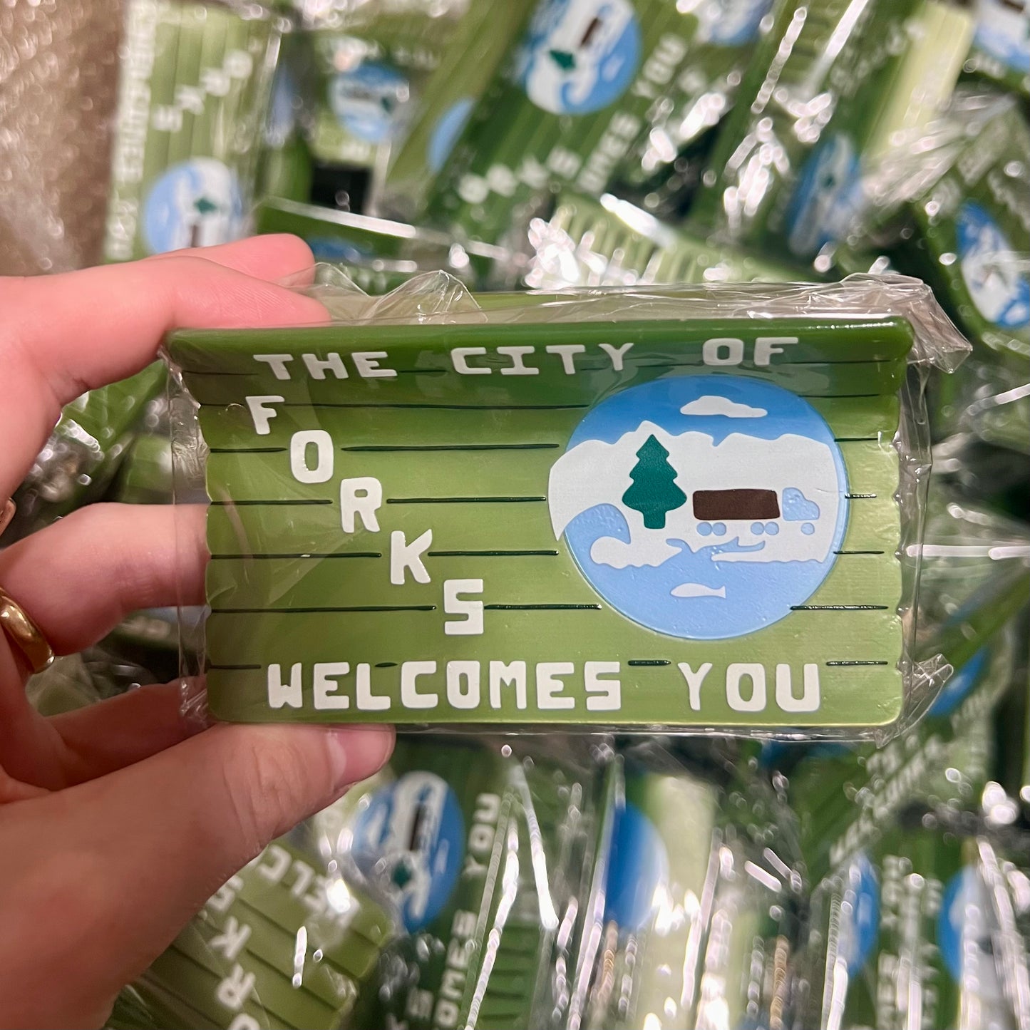 BGrade Welcome Sign clips