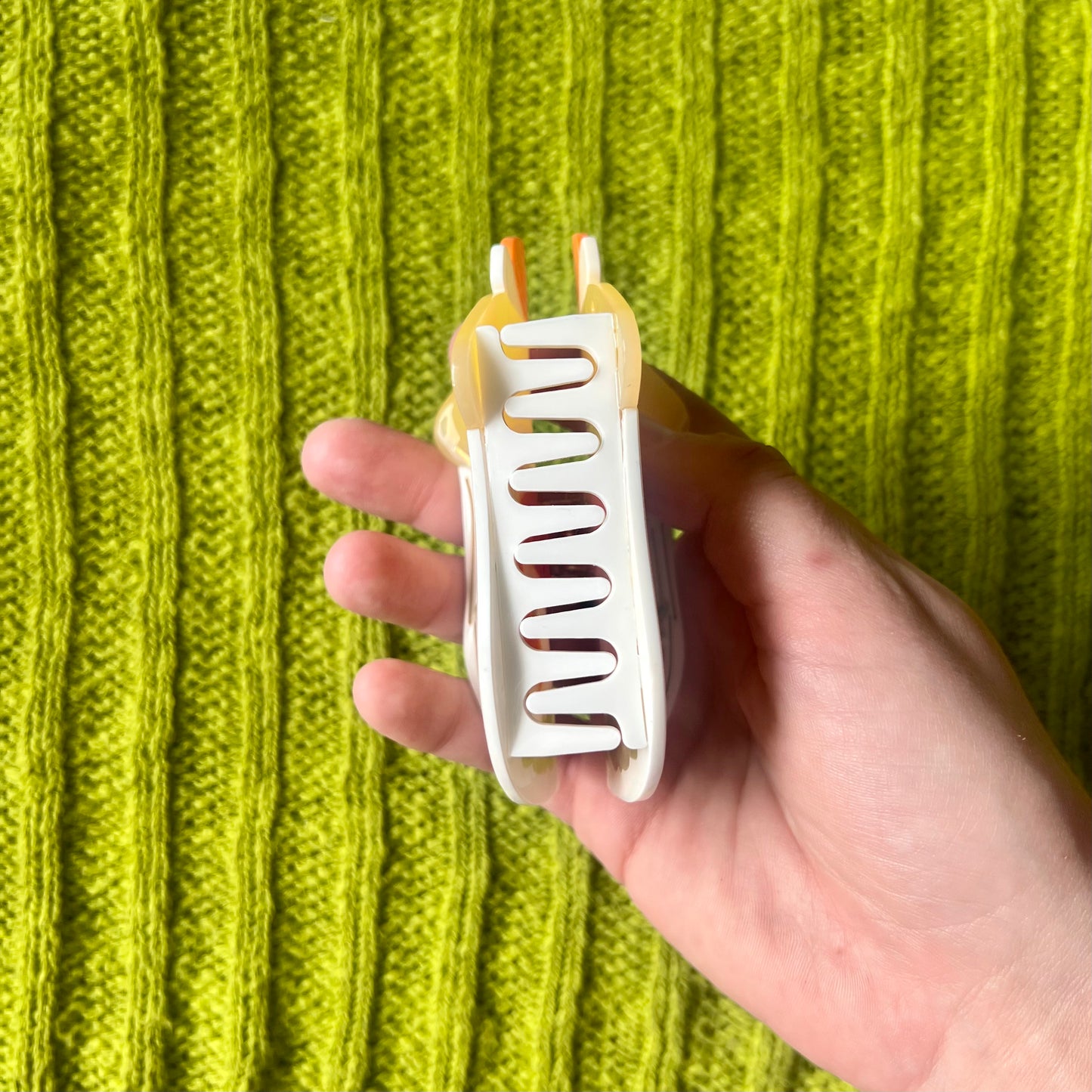 Mushroom Jar Claw Clip